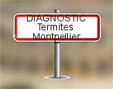 Diagnostic Termite ASE  à Montpellier